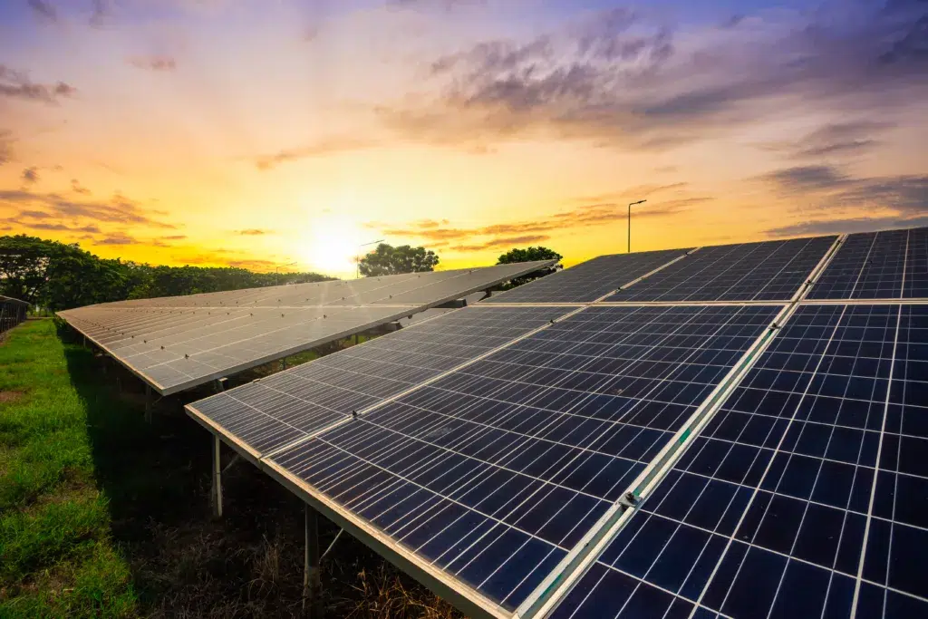 Panneaux Photovoltaïques pose au sol